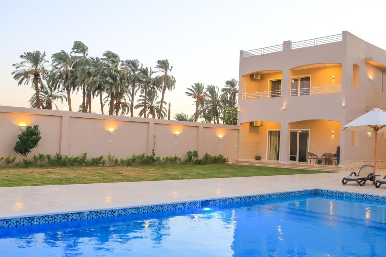 Royal Nile Villas - Pool View Apartment 2 Luxor Exterior foto